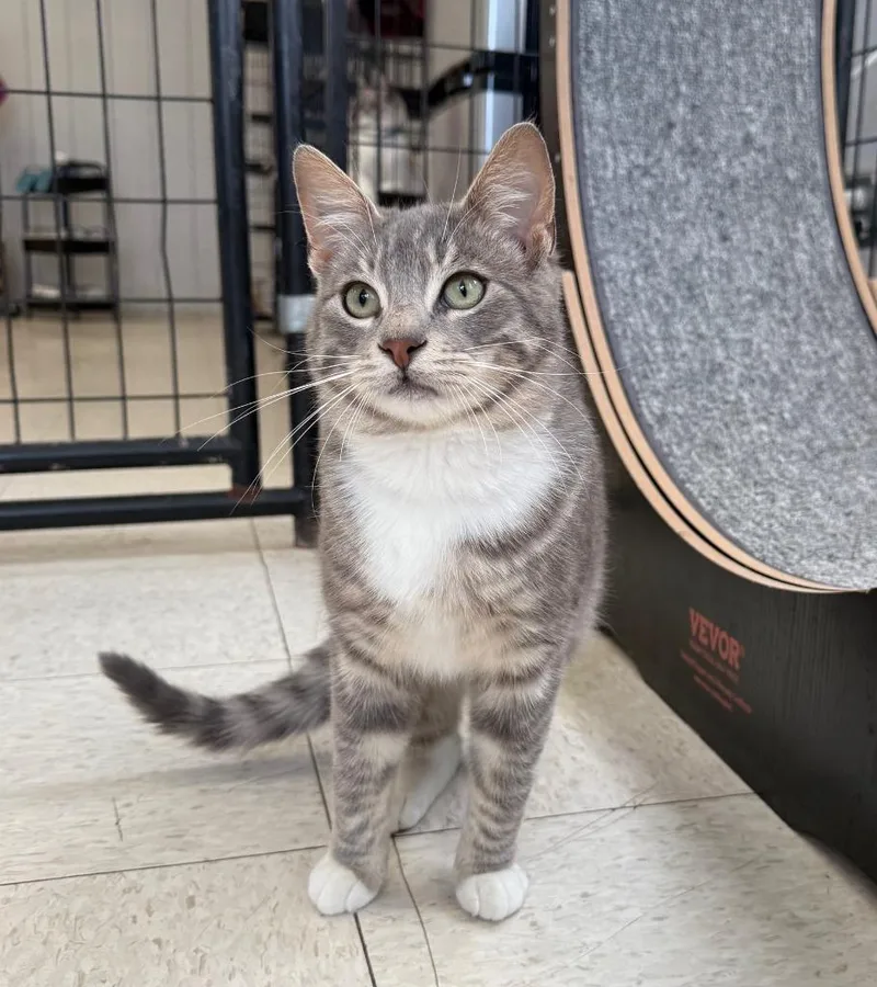 Pretty Eye thumbnail 2