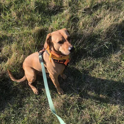 Carmelita thumbnail 2