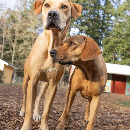 Carmelita thumbnail 3