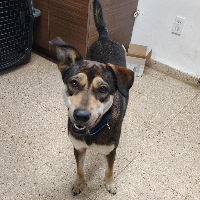 Luna Del Pilar thumbnail 2