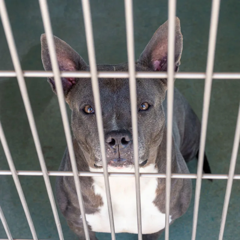 Marvelous thumbnail 2