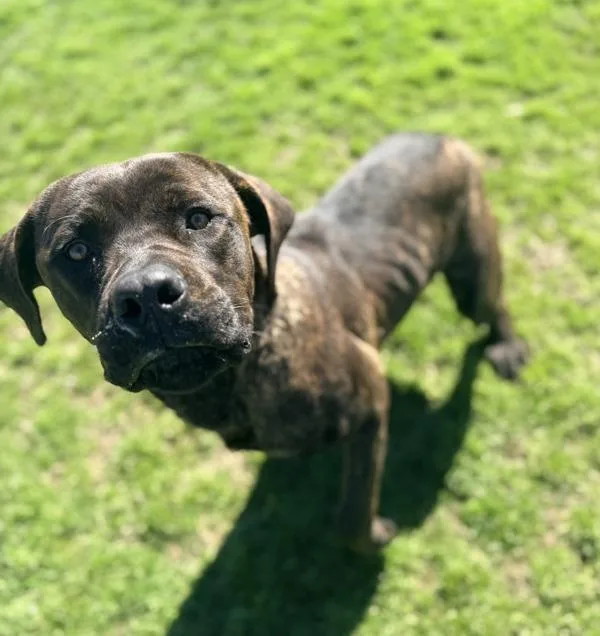 Benjamin thumbnail 2