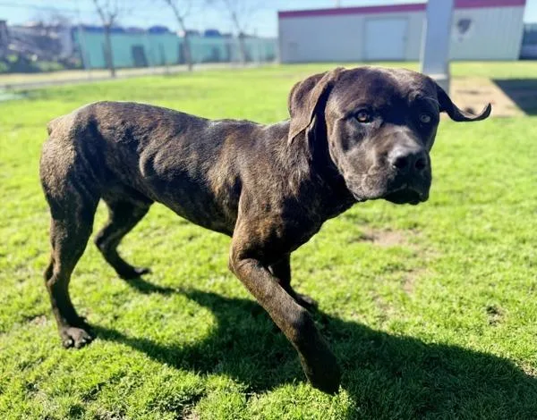 Benjamin thumbnail 3