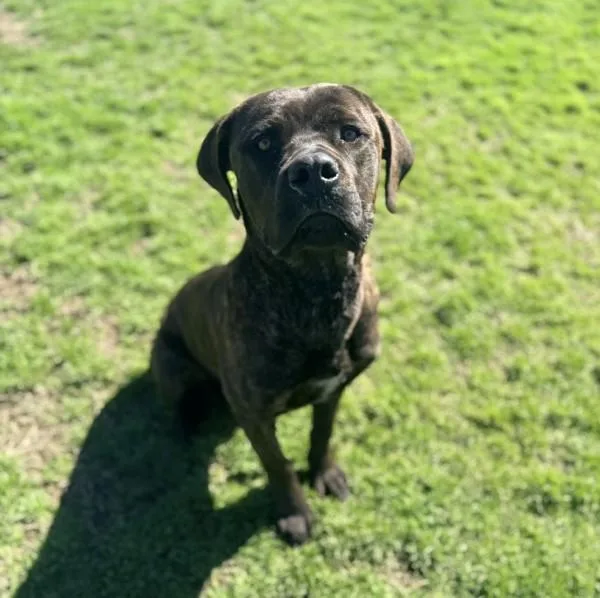 Benjamin thumbnail 4