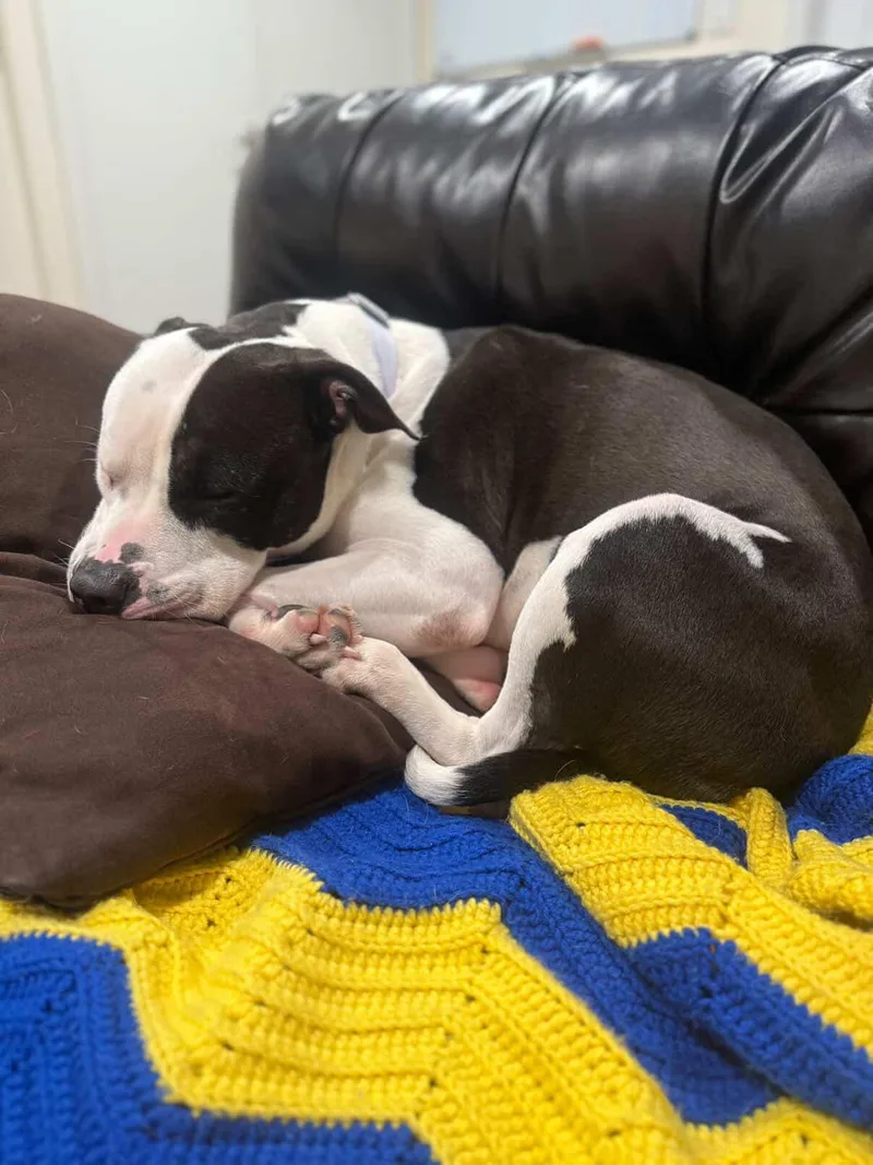 Felicity thumbnail 2