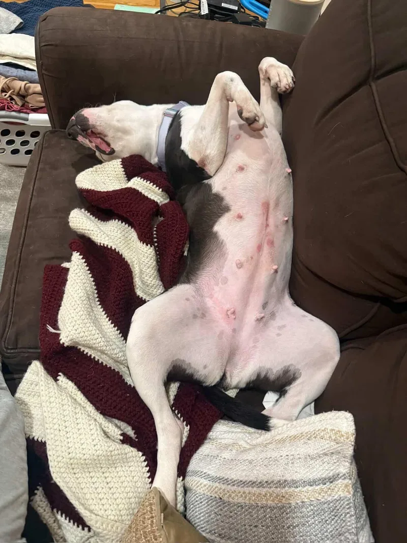 Felicity thumbnail 3