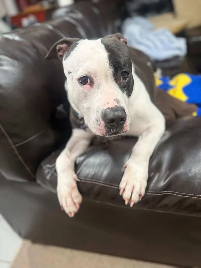 Felicity thumbnail 4