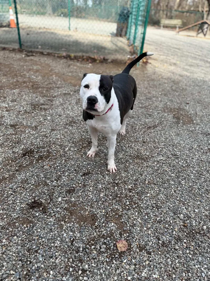 Felicity thumbnail 5