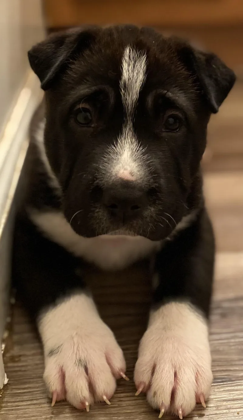 Hermoine! Sweet Girl