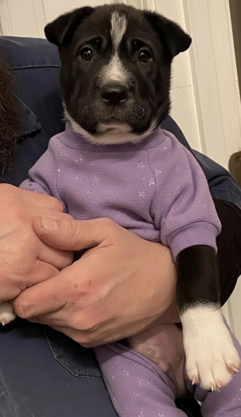 Hermoine! Sweet Girl thumbnail 3