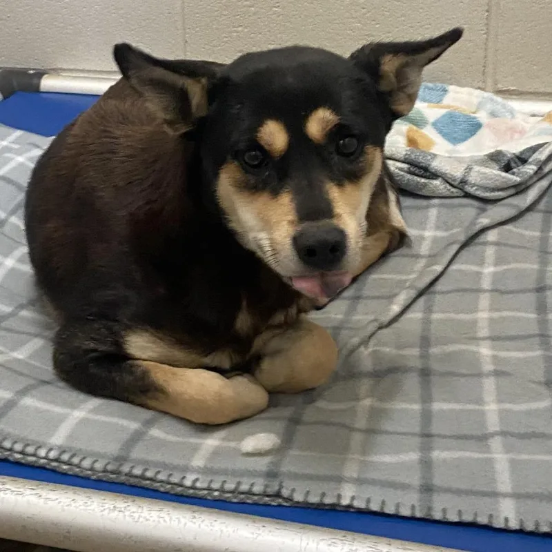 Lucie  U thumbnail 2