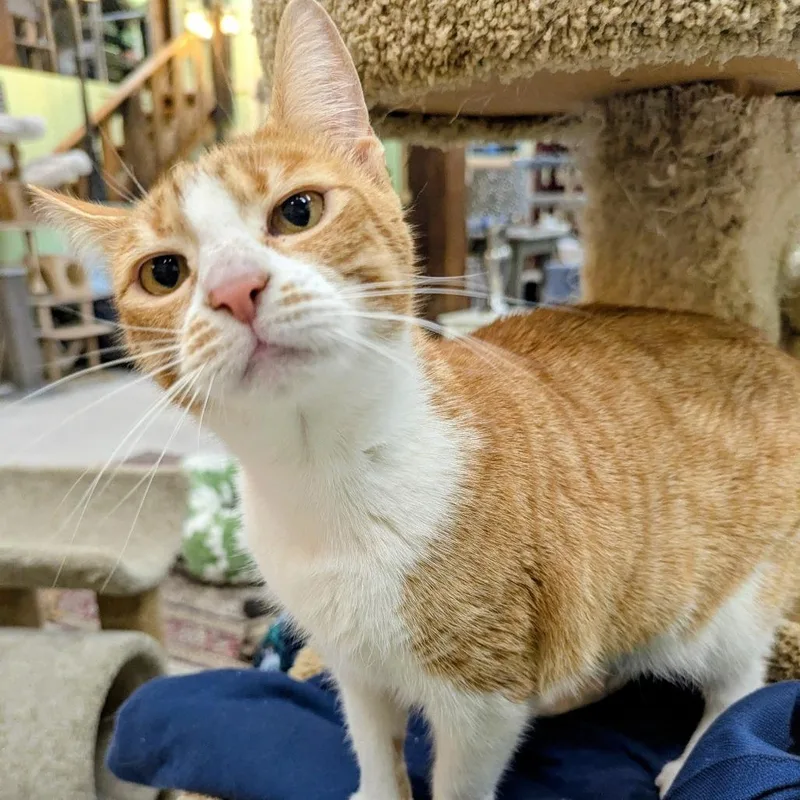 Mama Love thumbnail 2