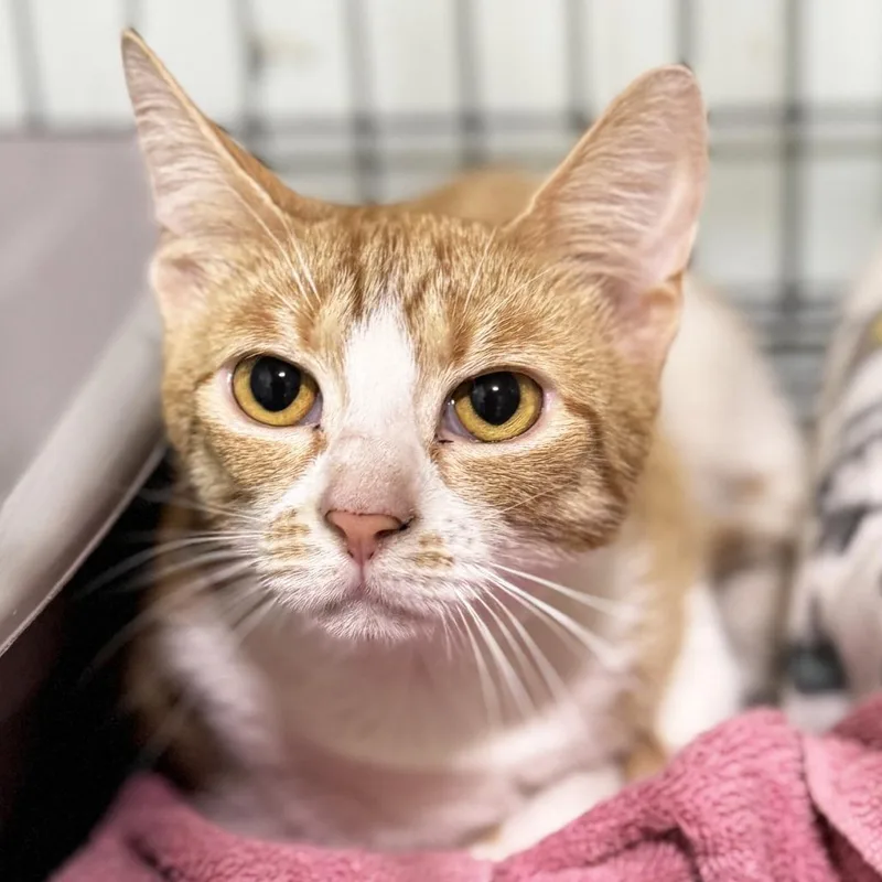 Mama Love thumbnail 3