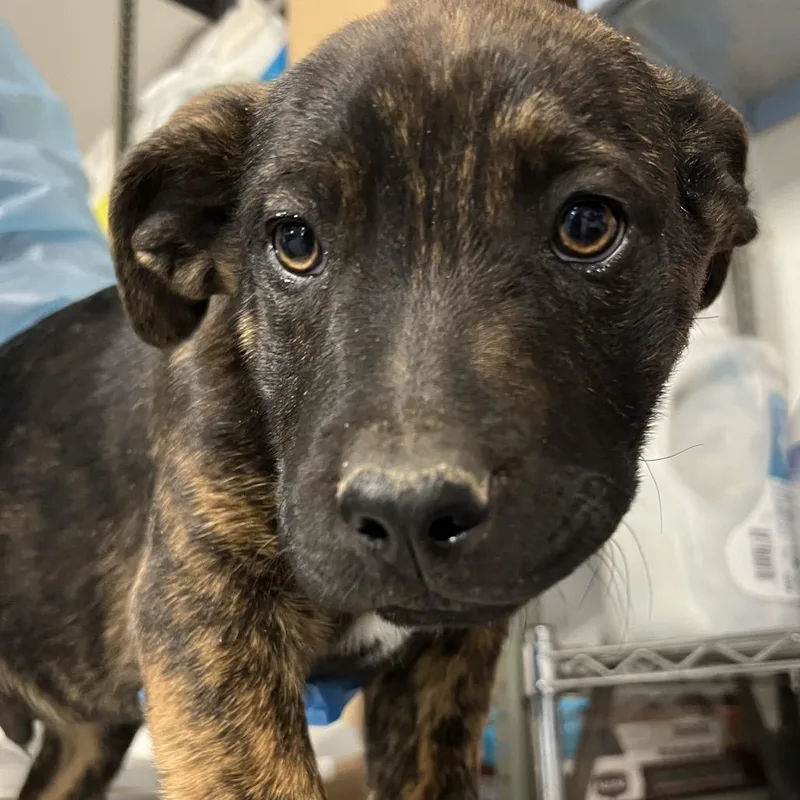 Fred Jones thumbnail 2