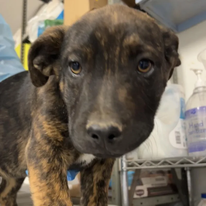 Fred Jones thumbnail 3