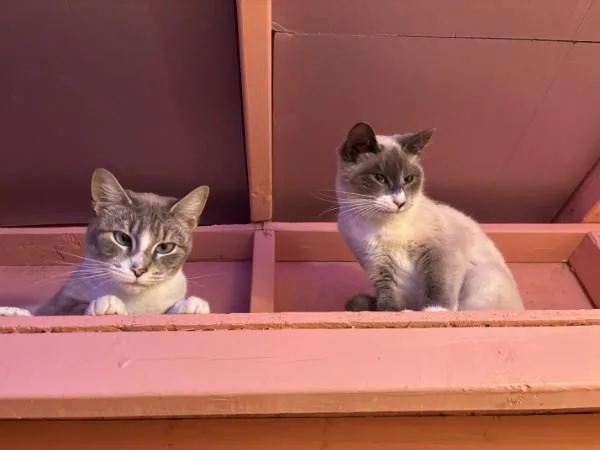 Sally Mack thumbnail 2