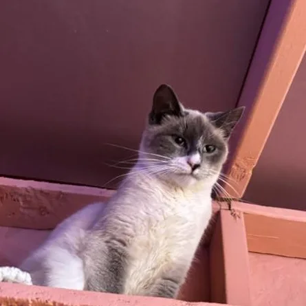 Sally Mack thumbnail 3