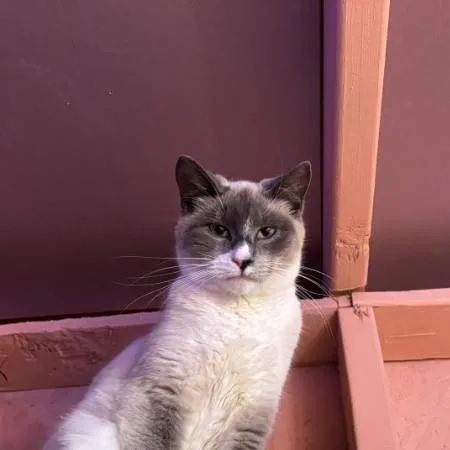 Sally Mack thumbnail 4