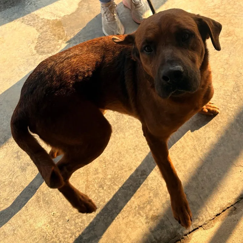 Skippy  U thumbnail 2