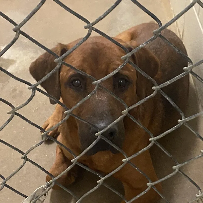 Skippy  U thumbnail 3