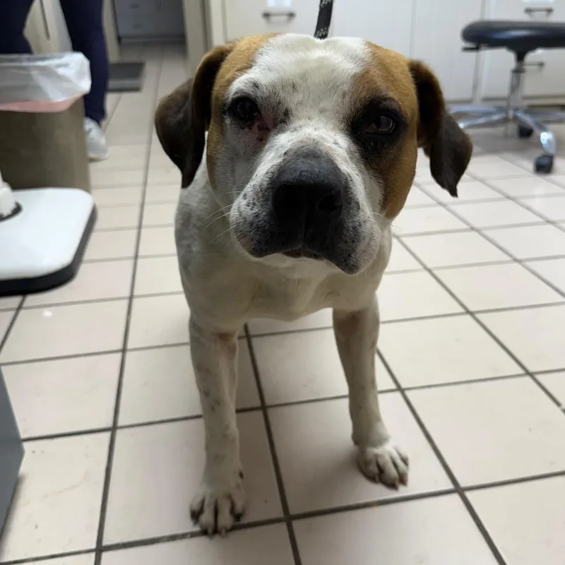 Reginald thumbnail 2