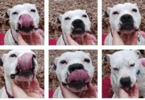 Everleigh thumbnail 2