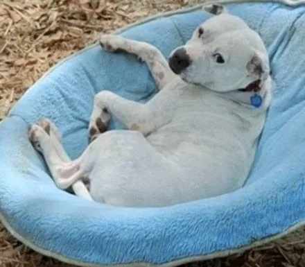 Everleigh thumbnail 4