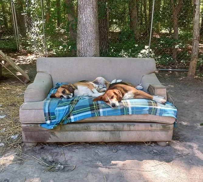 Lylebonded thumbnail 2