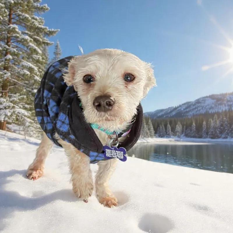 Maxx Rebo thumbnail 6