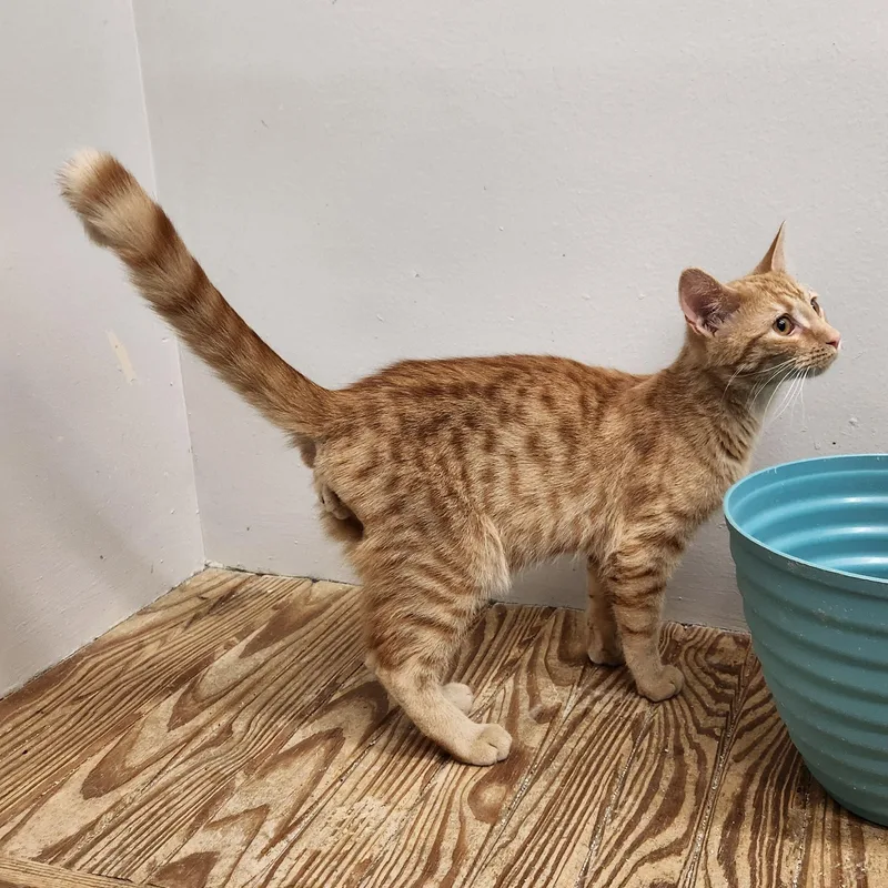 Sabastian thumbnail 2