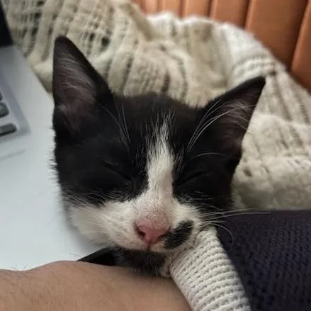 Naboo Randolph Ropitibopiti