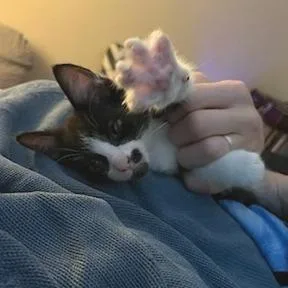 Naboo Randolph Ropitibopiti thumbnail 2