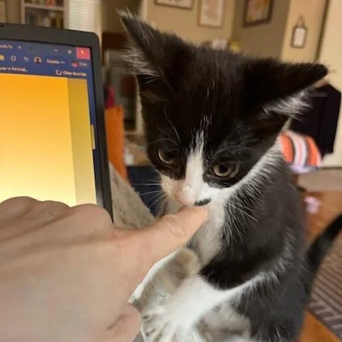 Naboo Randolph Ropitibopiti thumbnail 4