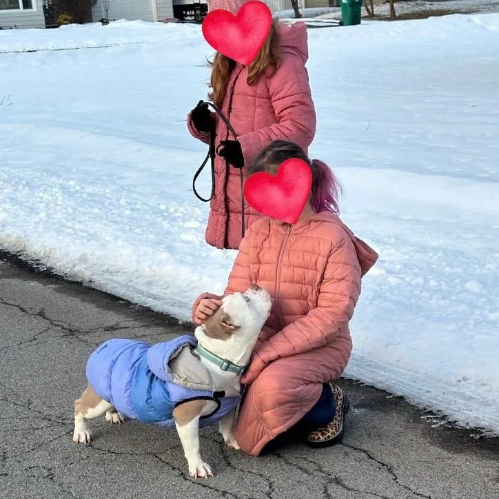 Marshmallow Frost The Microbully thumbnail 3