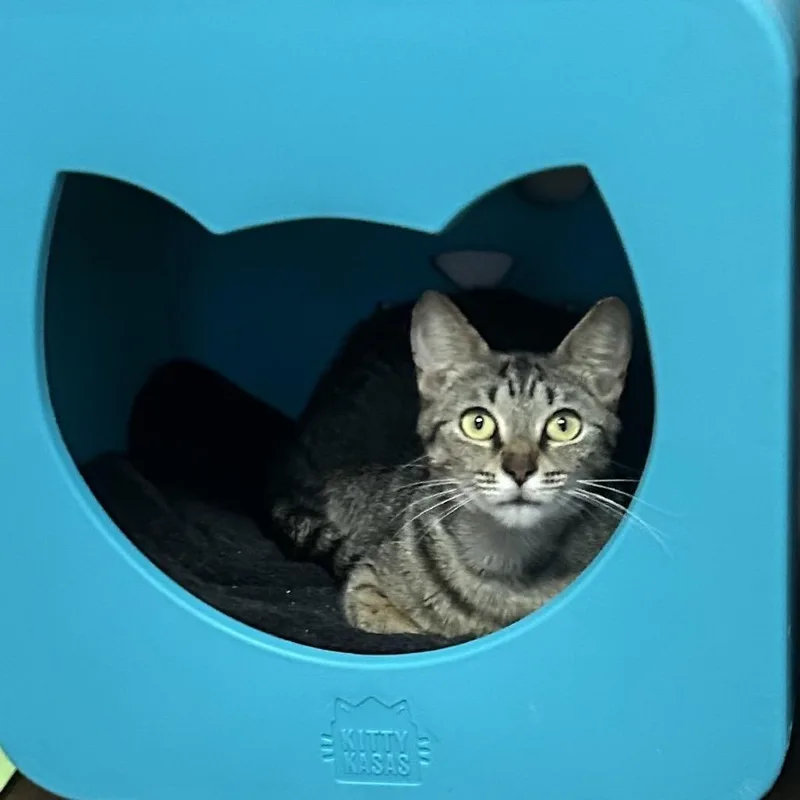 Motherboard thumbnail 2