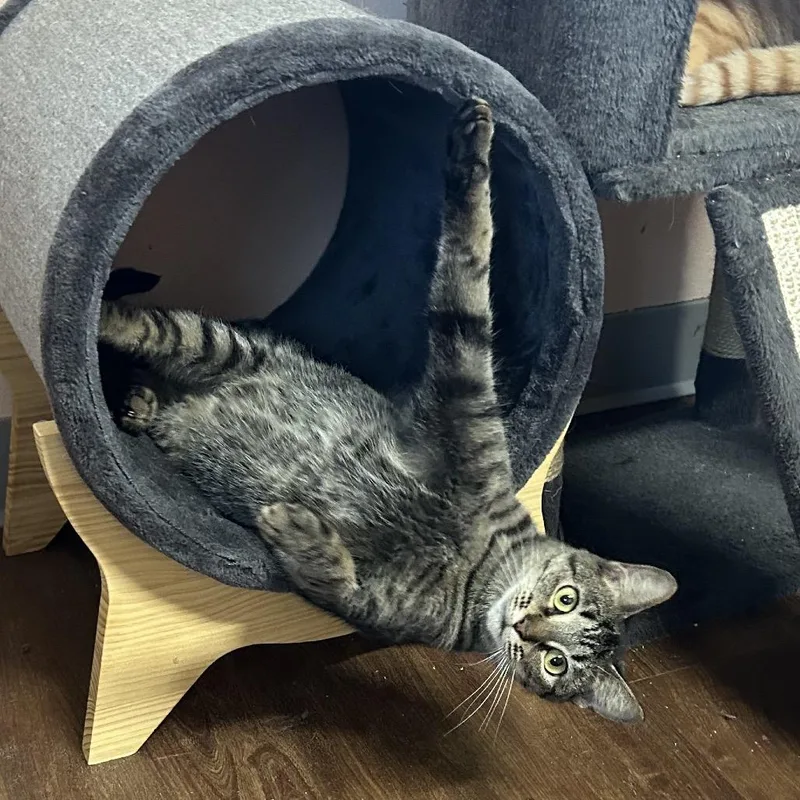 Motherboard thumbnail 3