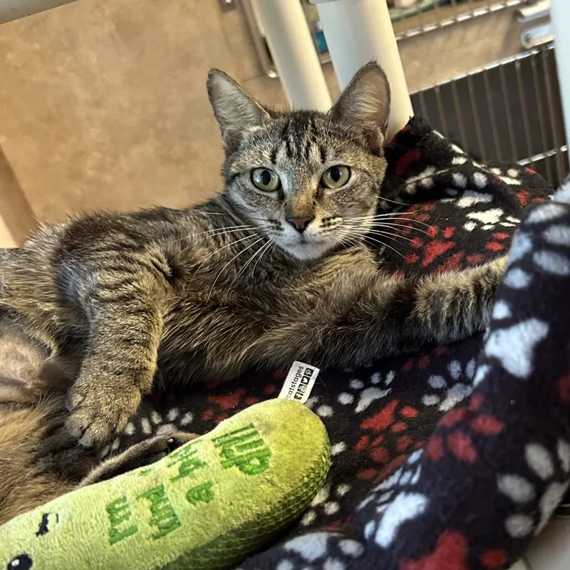 Motherboard thumbnail 4