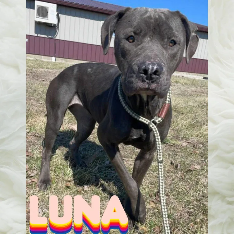 Luna