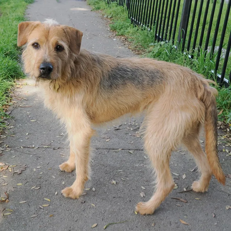 Hamilton thumbnail 2