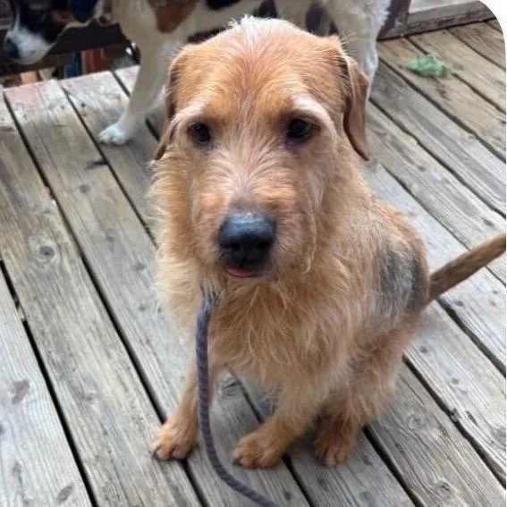 Hamilton thumbnail 3