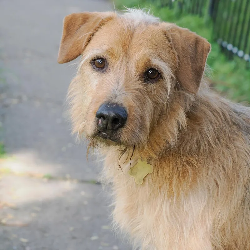 Hamilton thumbnail 4