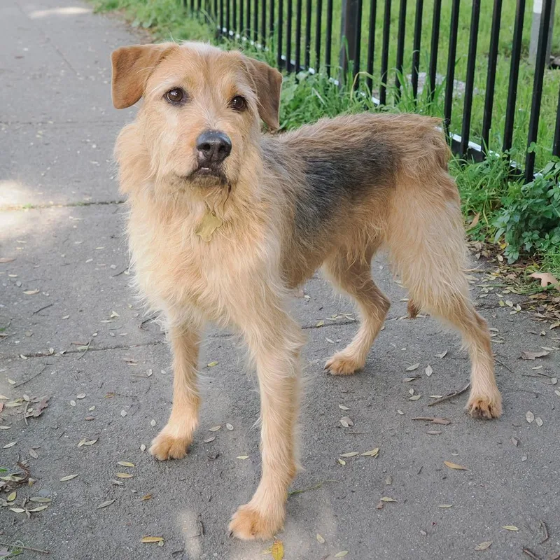 Hamilton thumbnail 5