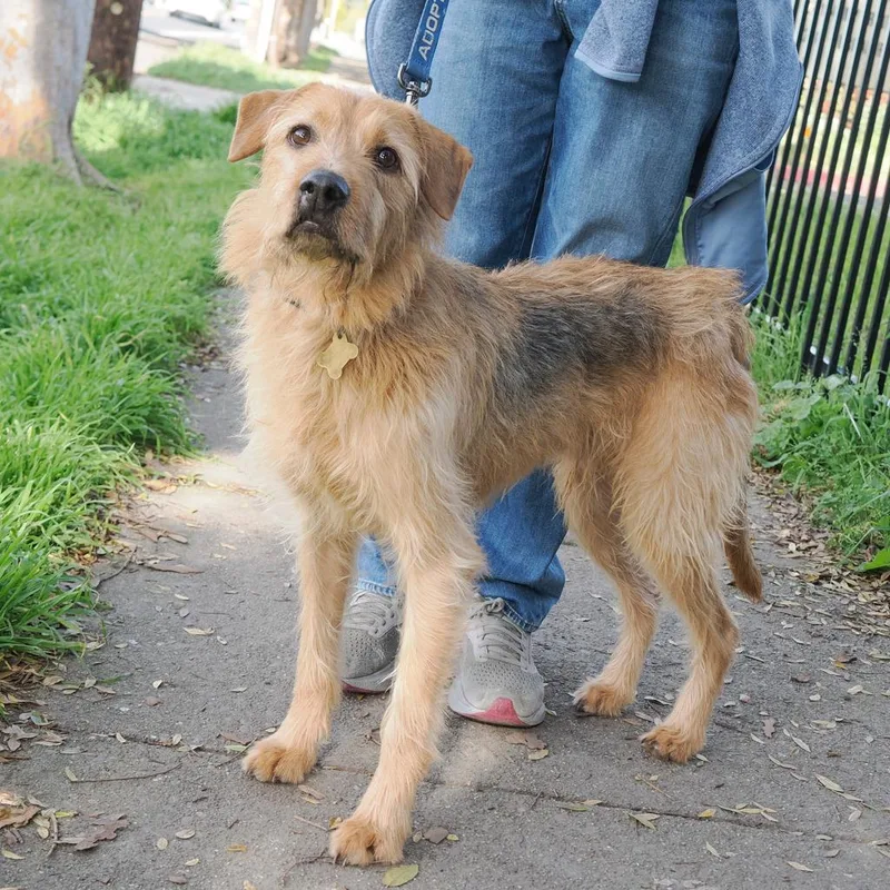 Hamilton thumbnail 6