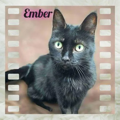 Ember