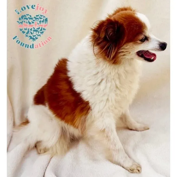 Evelyn Coh thumbnail 2