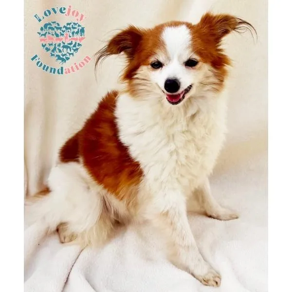 Evelyn Coh thumbnail 3