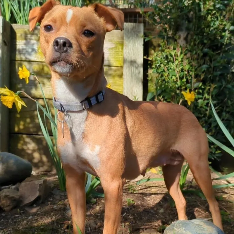 Mama Willow thumbnail 4