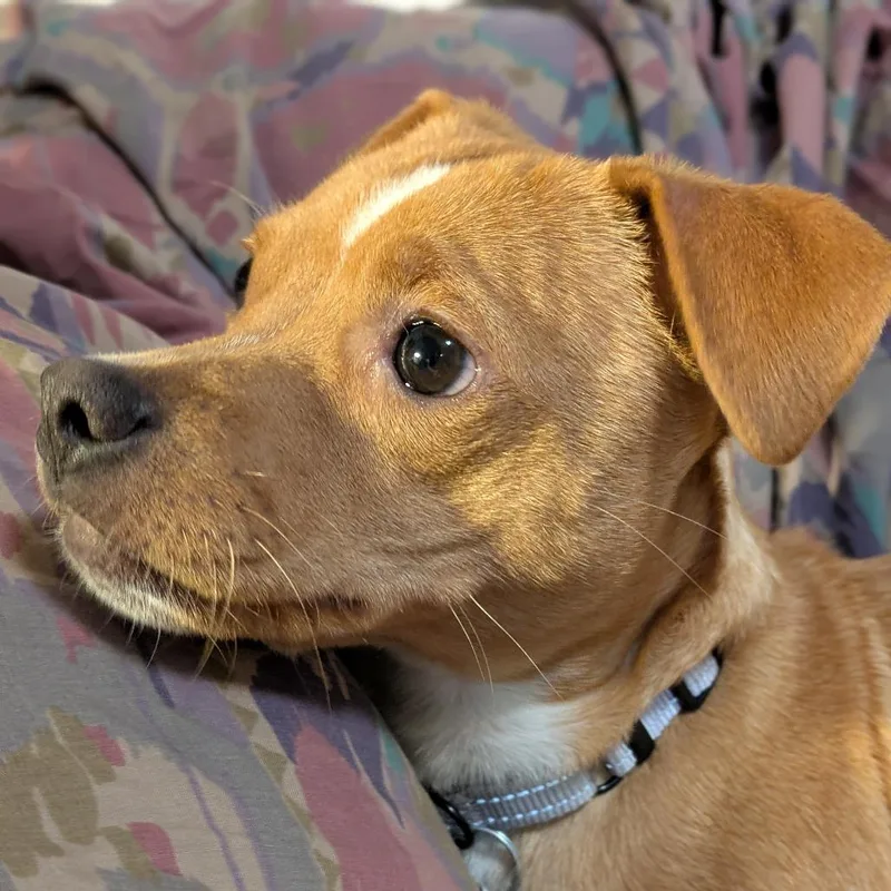 Mama Willow thumbnail 5