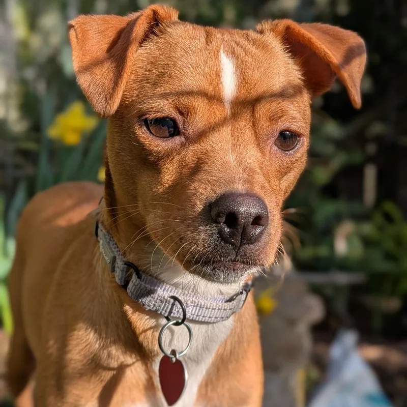 Mama Willow thumbnail 6