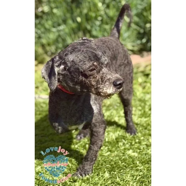 Ziggy Coh thumbnail 2